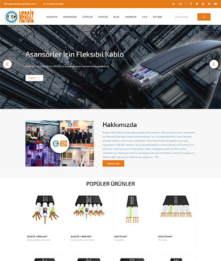 özel web sitesi tasarımı